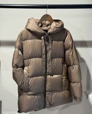  072 camel