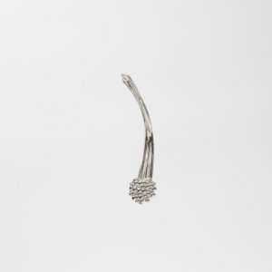 zilver