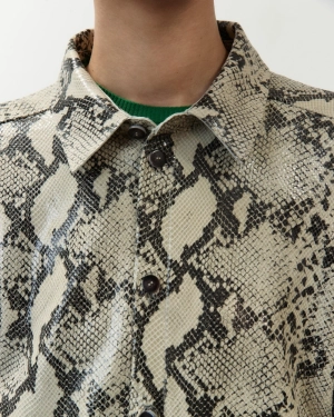  python